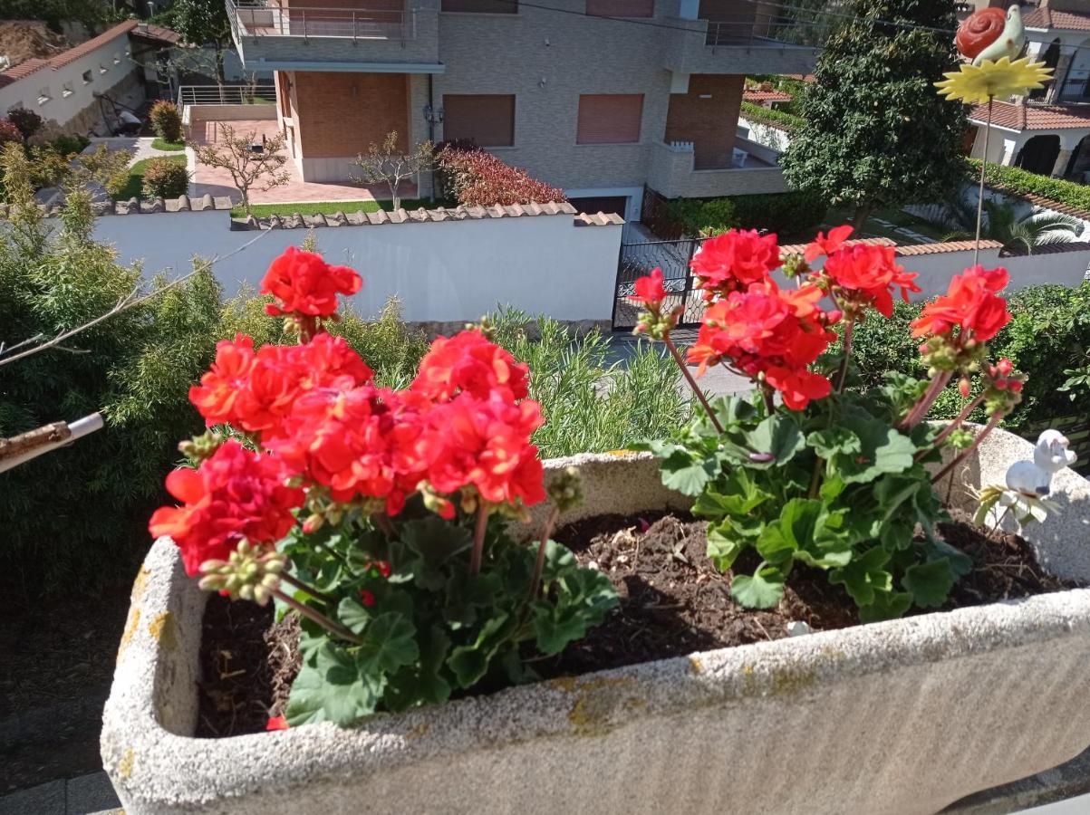 Villa Nerina Alloggio Turistico אנזיו מראה חיצוני תמונה