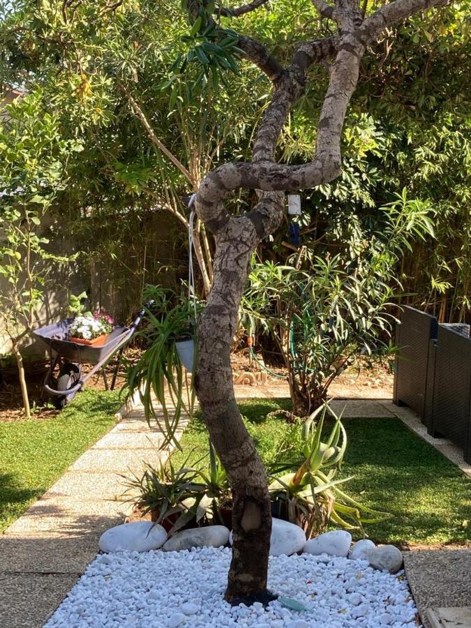 Villa Nerina Alloggio Turistico אנזיו מראה חיצוני תמונה