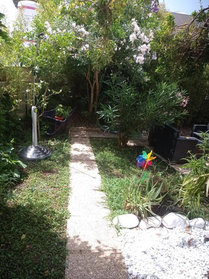 Villa Nerina Alloggio Turistico אנזיו מראה חיצוני תמונה